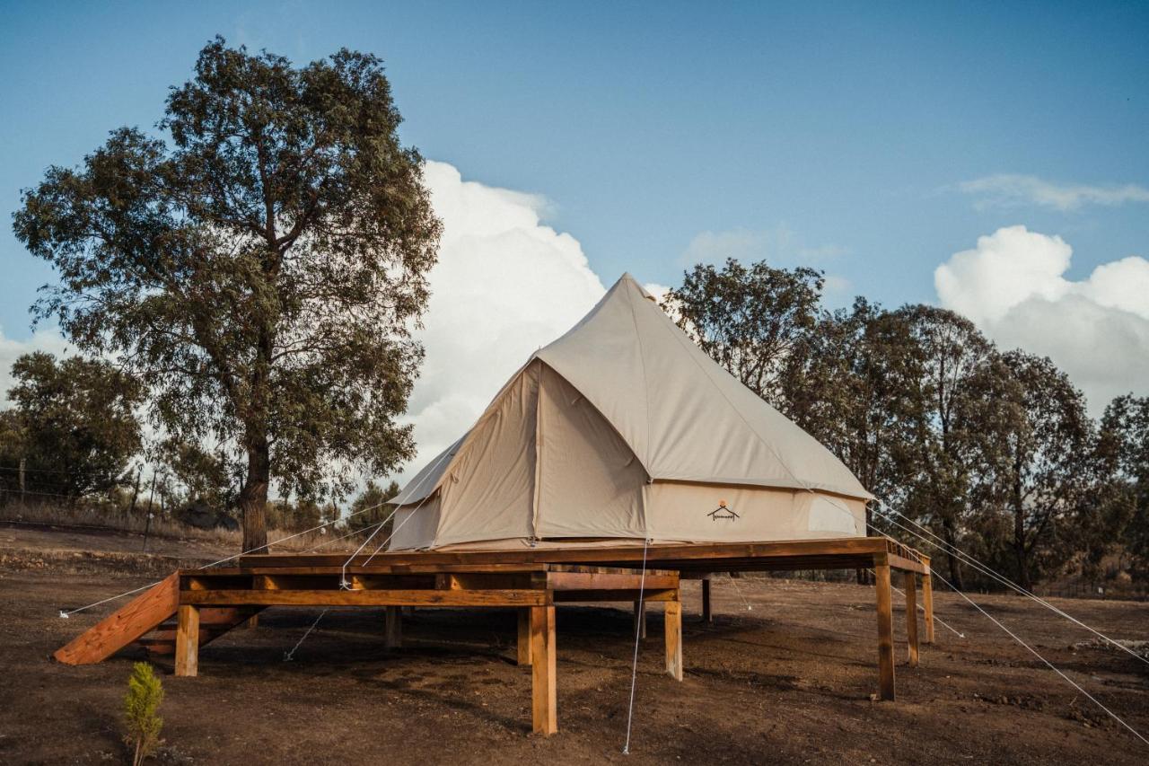 Lago Valle Wine Glamping Valle de Guadalupe Dış mekan fotoğraf