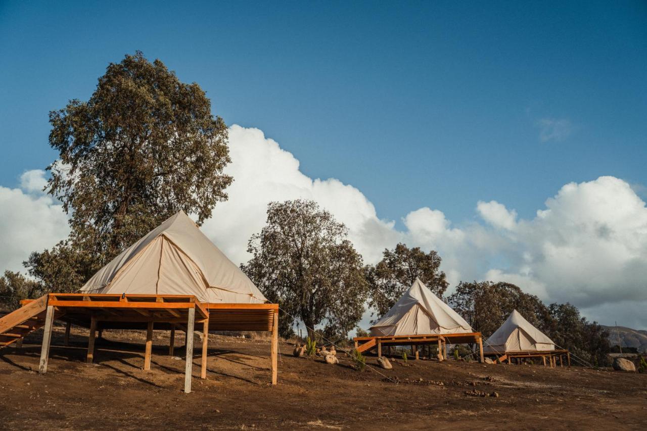 Lago Valle Wine Glamping Valle de Guadalupe Dış mekan fotoğraf