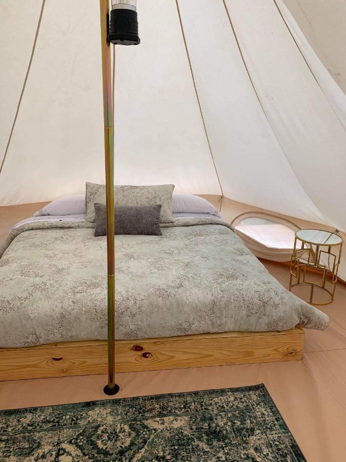 Lago Valle Wine Glamping Valle de Guadalupe Dış mekan fotoğraf