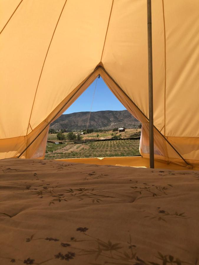 Lago Valle Wine Glamping Valle de Guadalupe Dış mekan fotoğraf