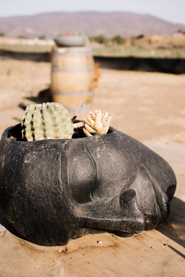 Lago Valle Wine Glamping Valle de Guadalupe Dış mekan fotoğraf