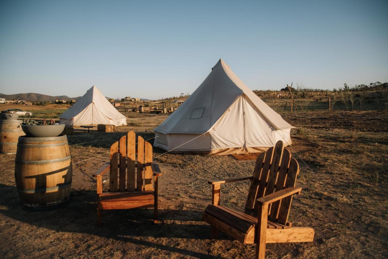 Lago Valle Wine Glamping Valle de Guadalupe Dış mekan fotoğraf