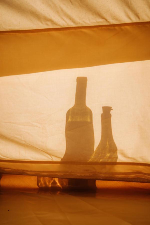 Lago Valle Wine Glamping Valle de Guadalupe Dış mekan fotoğraf