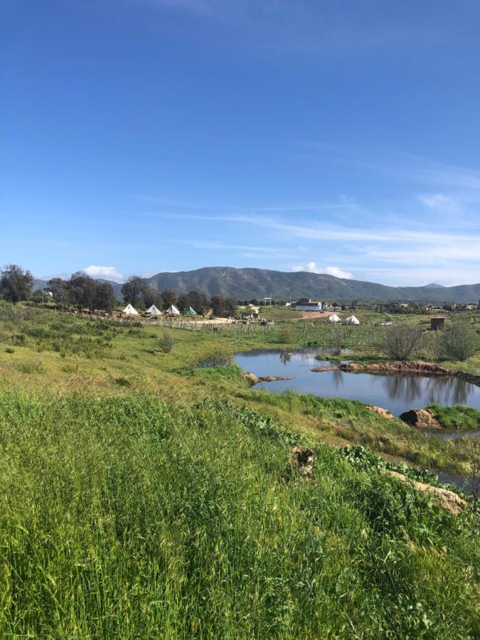 Lago Valle Wine Glamping Valle de Guadalupe Dış mekan fotoğraf