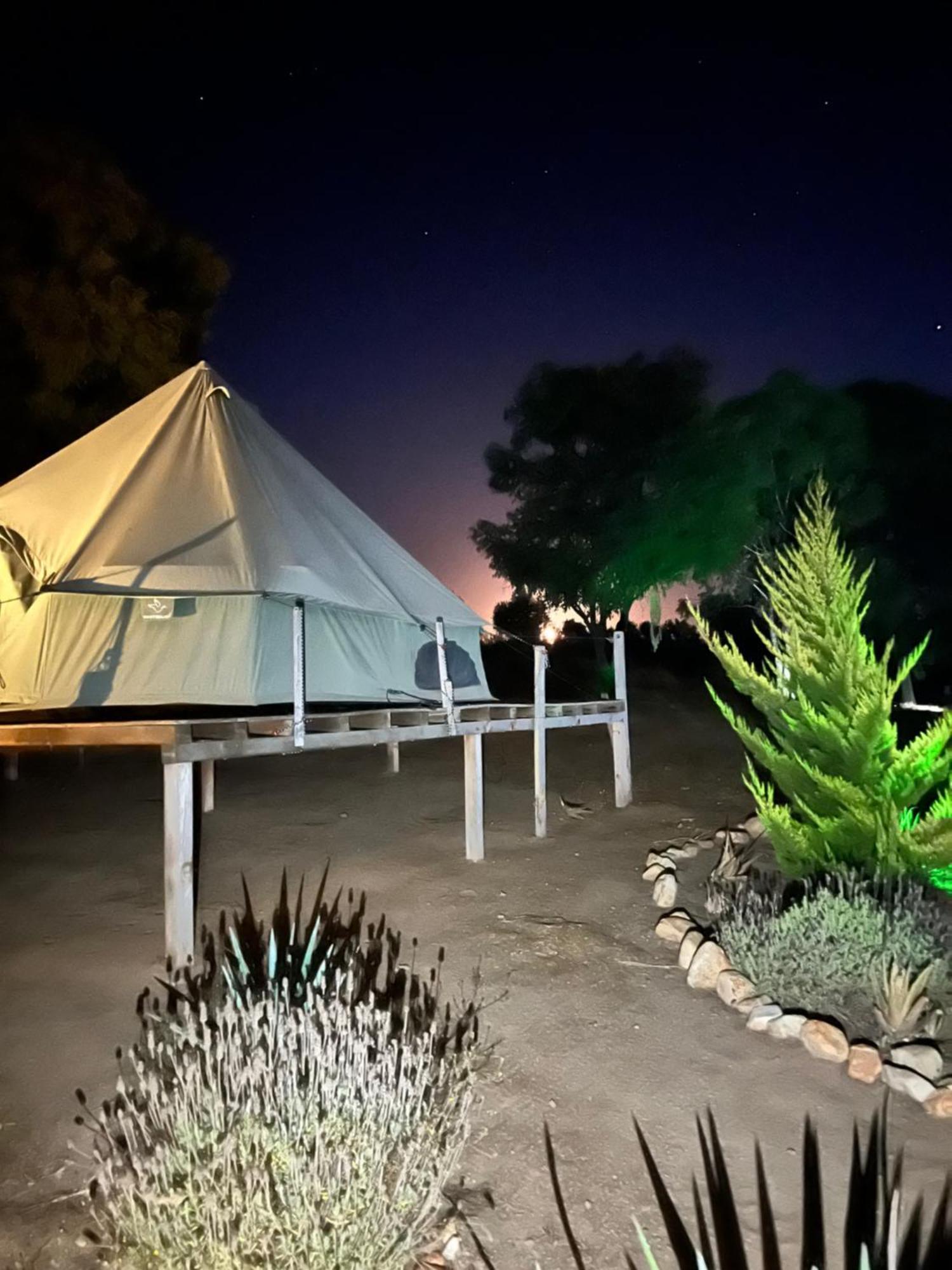 Lago Valle Wine Glamping Valle de Guadalupe Dış mekan fotoğraf