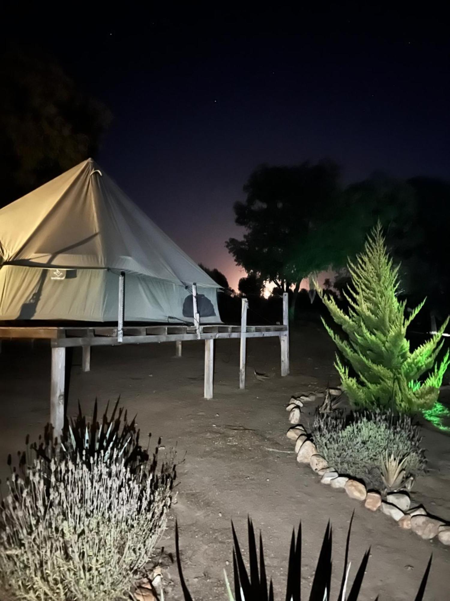 Lago Valle Wine Glamping Valle de Guadalupe Dış mekan fotoğraf